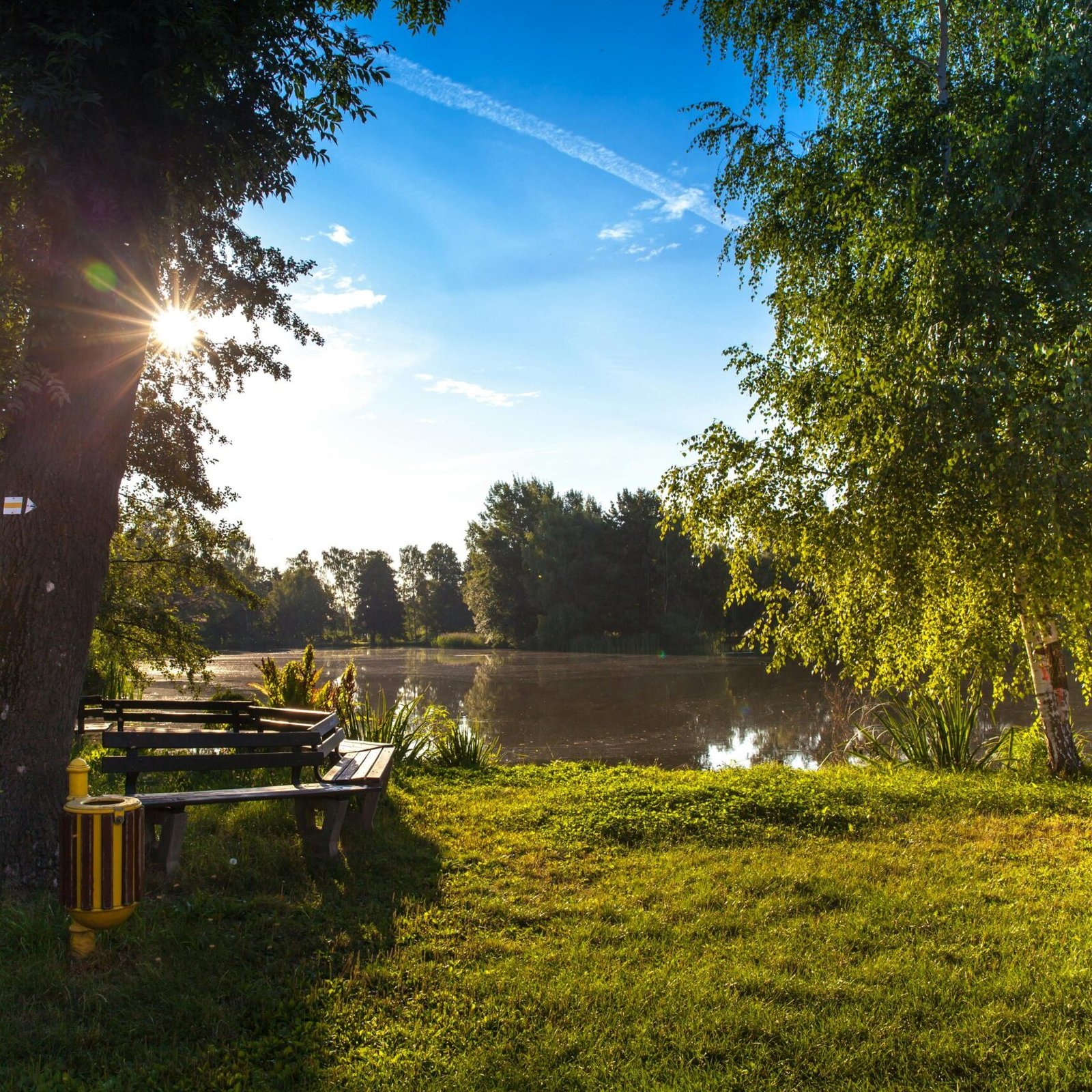 Peaceful morning scene with sunlight through trees by a lake in Wittichenau.